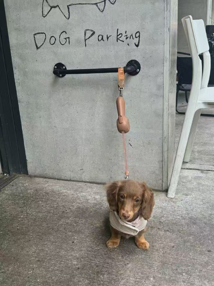 Dog Parking