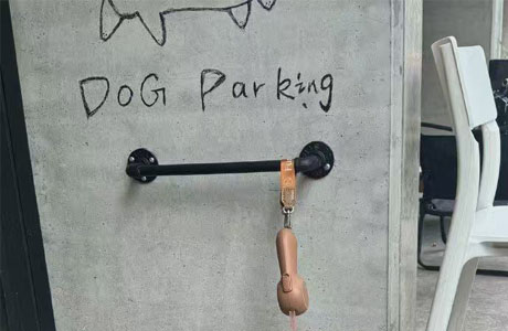 Dog Parking?